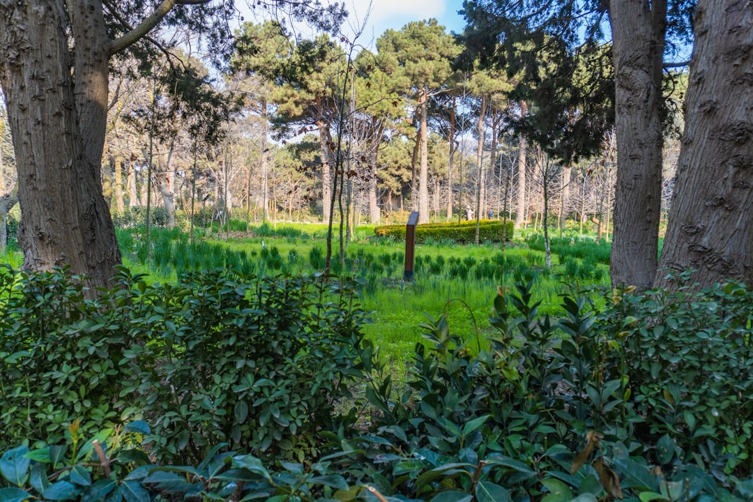 blog_9
